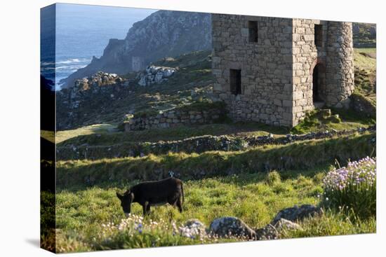 Old Tin Mine Workings, Botallack, Pendeen,Cornwall, England-Paul Harris-Stretched Canvas