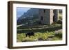 Old Tin Mine Workings, Botallack, Pendeen,Cornwall, England-Paul Harris-Framed Photographic Print