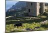 Old Tin Mine Workings, Botallack, Pendeen,Cornwall, England-Paul Harris-Mounted Photographic Print