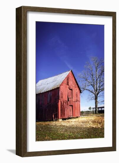 Old Tobacco Barn III-Alan Hausenflock-Framed Art Print