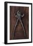 Old Tool Ii-Den Reader-Framed Photographic Print