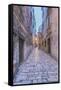 Old Town Alley-Rob Tilley-Framed Stretched Canvas