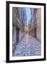 Old Town Alley-Rob Tilley-Framed Premium Photographic Print