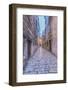 Old Town Alley-Rob Tilley-Framed Photographic Print