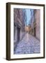 Old Town Alley-Rob Tilley-Framed Photographic Print