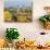 Old Town and Cathedral, elevated view, Lima, Peru, South America-Karol Kozlowski-Photographic Print displayed on a wall