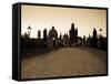 Old Town and Charles Bridge at Dawn, Prague, Czech Republic-Doug Pearson-Framed Stretched Canvas