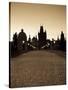 Old Town and Charles Bridge at Dawn, Prague, Czech Republic-Doug Pearson-Stretched Canvas