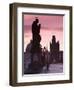 Old Town and Charles Bridge at Dawn, Prague, Czech Republic-Doug Pearson-Framed Photographic Print