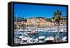 Old Town and Marina, Menton, Cote D'Azur, French Riviera, Provence, France, Mediterranean, Europe-Peter Groenendijk-Framed Stretched Canvas