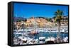 Old Town and Marina, Menton, Cote D'Azur, French Riviera, Provence, France, Mediterranean, Europe-Peter Groenendijk-Framed Stretched Canvas