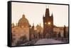 Old Town Bridge Tower-Markus-Framed Stretched Canvas