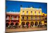 Old Town, Cartegena, Colombia, South America-Laura Grier-Mounted Photographic Print