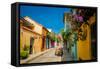 Old Town, Cartegena, Colombia, South America-Laura Grier-Framed Stretched Canvas