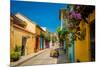 Old Town, Cartegena, Colombia, South America-Laura Grier-Mounted Photographic Print