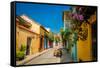 Old Town, Cartegena, Colombia, South America-Laura Grier-Framed Stretched Canvas