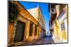 Old Town, Cartegena, Colombia, South America-Laura Grier-Mounted Photographic Print