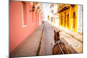 Old Town, Cartegena, Colombia, South America-Laura Grier-Mounted Photographic Print