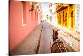 Old Town, Cartegena, Colombia, South America-Laura Grier-Stretched Canvas