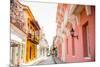 Old Town, Cartegena, Colombia, South America-Laura Grier-Mounted Photographic Print