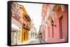 Old Town, Cartegena, Colombia, South America-Laura Grier-Framed Stretched Canvas