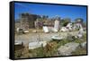 Old Town Castle, Kos, Dodecanese, Greek Islands, Greece, Europe-null-Framed Stretched Canvas