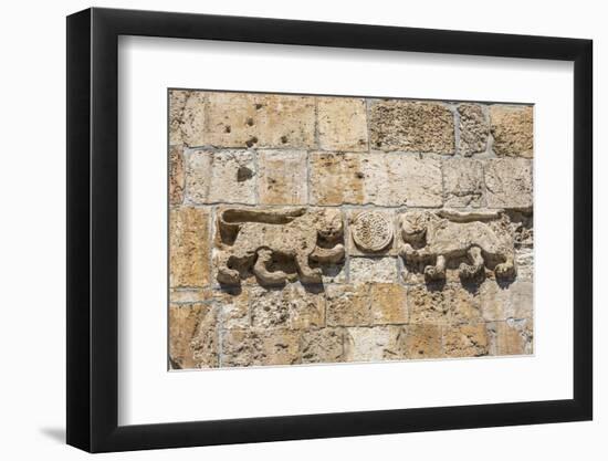 Old Town, Detail of the Lions' Gate (Also known as St. Stephen's Gate)-Massimo Borchi-Framed Photographic Print
