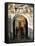 Old Town Gate, Zadar, Zadar County, Dalmatia Region, Croatia, Europe-Emanuele Ciccomartino-Framed Stretched Canvas