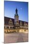 Old Town Hall (Altes Rathaus), Leipzig, Saxony, Germany-Ian Trower-Mounted Photographic Print