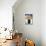 Old Town, Lagos, Algarve, Portugal, Europe-Jeremy Lightfoot-Stretched Canvas displayed on a wall