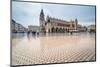 Old Town of Cracow with Sukiennice Landmark, Poland-Patryk Kosmider-Mounted Photographic Print