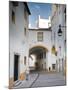 Old Town of Evora, Alentejo, Portugal-Michele Falzone-Mounted Photographic Print