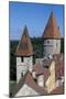 Old Town of Tallinn-null-Mounted Giclee Print