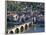 Old Town, Old Bridge and River Neckar, Heidelberg, Baden-Wurttemberg, Germany-Hans Peter Merten-Framed Photographic Print