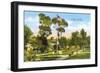 Old Town Plaza-null-Framed Premium Giclee Print