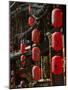 Old Town red lanterns outside restaurants, Xinhua Jie Street, Lijiang, Yunnan Province, China-Walter Bibikow-Mounted Photographic Print