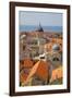 Old Town Rooftops and Cathedral Dome-Frank Fell-Framed Photographic Print