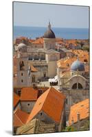 Old Town Rooftops and Cathedral Dome-Frank Fell-Mounted Photographic Print