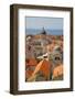 Old Town Rooftops and Cathedral Dome-Frank Fell-Framed Photographic Print