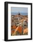 Old Town Rooftops and Cathedral Dome-Frank Fell-Framed Photographic Print