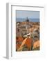 Old Town Rooftops and Cathedral Dome-Frank Fell-Framed Photographic Print