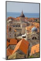 Old Town Rooftops and Cathedral Dome-Frank Fell-Mounted Photographic Print