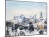 Old Town skyline featuring Dominican Priory, Cathedral and Trinitarian Tower-Karol Kozlowski-Mounted Photographic Print