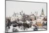Old Town skyline featuring Dominican Priory, Cathedral and Trinitarian Tower-Karol Kozlowski-Mounted Photographic Print