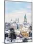 Old Town skyline featuring St. John the Baptist Cathedral and Trinitarian Tower-Karol Kozlowski-Mounted Photographic Print