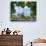 Old Town Skyline with St. Peter's Cathedral and Danube River, Regensburg, Germany-Miva Stock-Photographic Print displayed on a wall