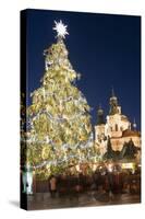 Old Town Square Christmas Market with Christmas Tree-Richard Nebesky-Stretched Canvas