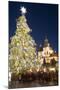 Old Town Square Christmas Market with Christmas Tree-Richard Nebesky-Mounted Photographic Print