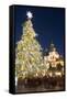 Old Town Square Christmas Market with Christmas Tree-Richard Nebesky-Framed Stretched Canvas