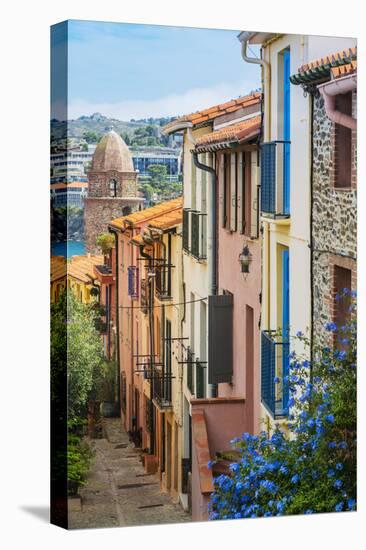 Old Town Street, Collioure, Languedoc-Roussillon, France-Stefano Politi Markovina-Stretched Canvas